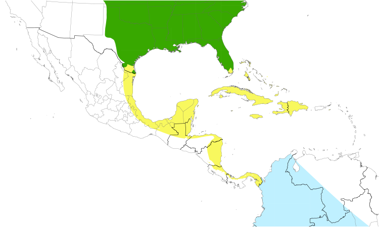 Range Map (Central): Chimney Swift