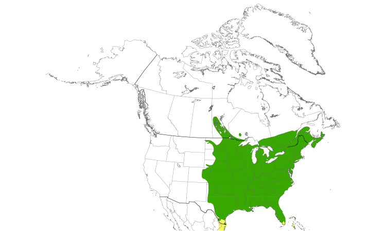 Range Map (North): Chimney Swift