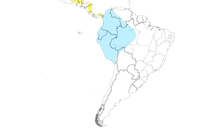 Range Map (South): Chimney Swift