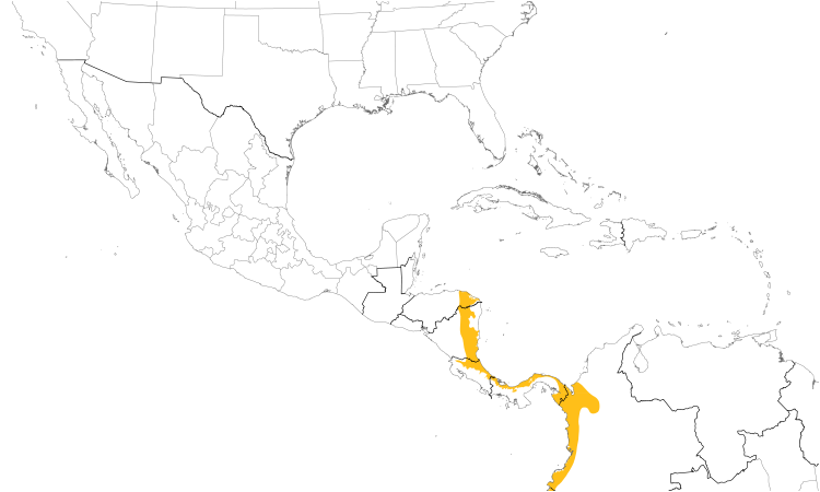 Range Map (Central): Bronze-tailed Plumeleteer