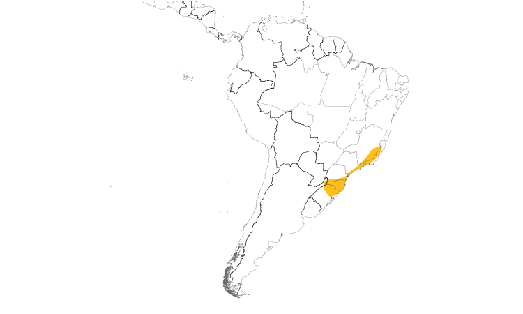 Range Map (South): Rufous-tailed Antthrush
