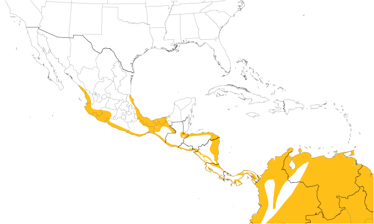Range Map (Central): Collared Plover