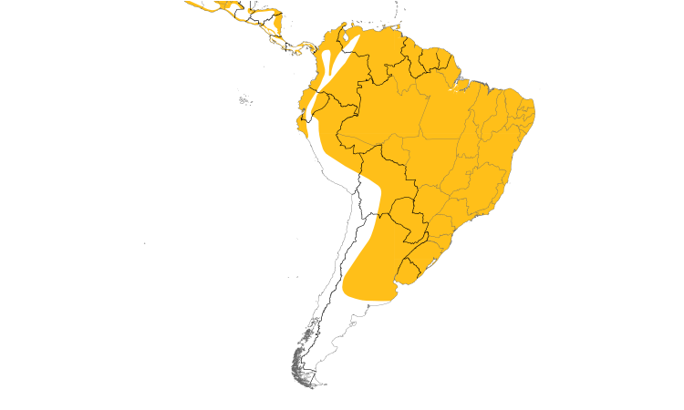 Range Map (South): Collared Plover