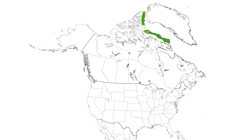 Range Map (North): Common Ringed Plover