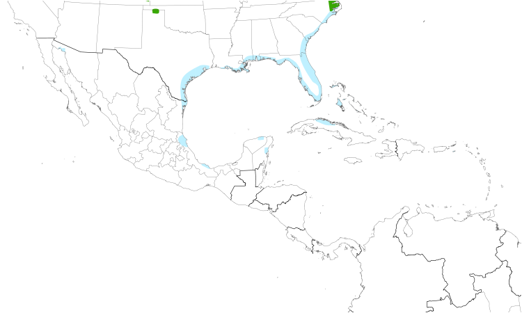 Range Map (Central): Piping Plover
