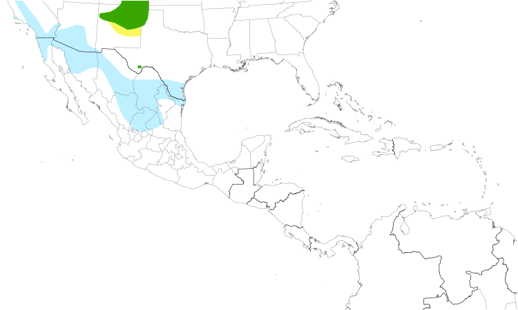 Range Map (Central): Mountain Plover