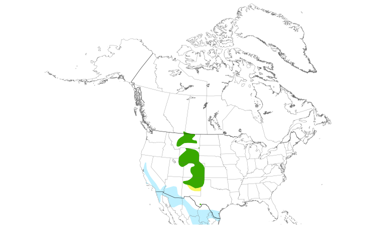 Range Map (North): Mountain Plover