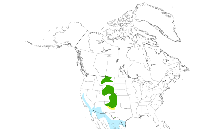 Range Map (North): Mountain Plover