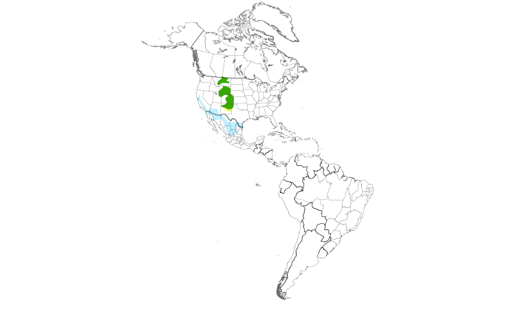 Range Map (Americas): Mountain Plover