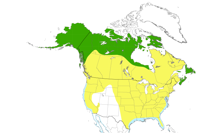 Range Map (North): Semipalmated Plover