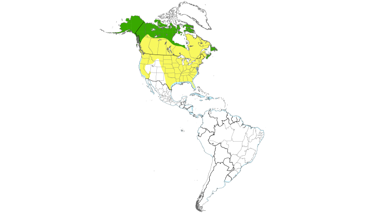 Range Map (Americas): Semipalmated Plover