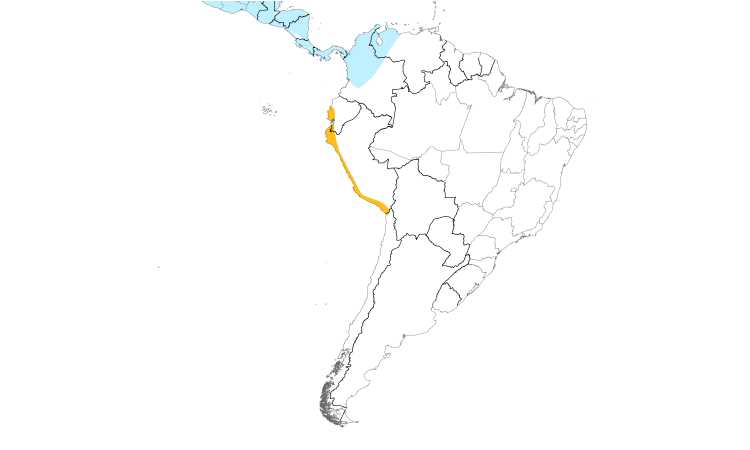 Carte de répartition  (South): Pluvier kildir
