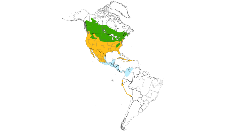 Carte de répartition  (Americas): Pluvier kildir