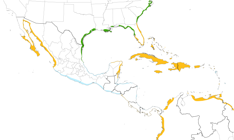Range Map (Central): Wilson's Plover