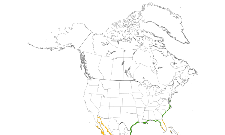 Range Map (North): Wilson's Plover