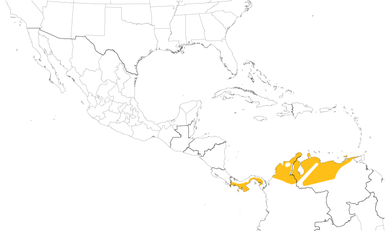 Range Map (Central): Lance-tailed Manakin