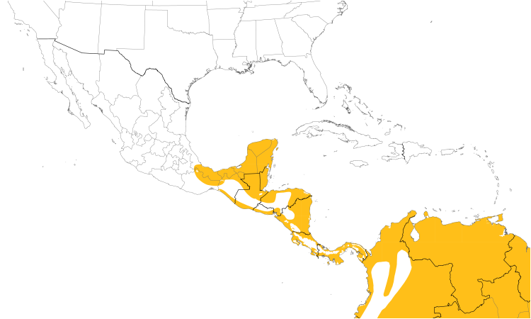 Range Map (Central): American Pygmy Kingfisher