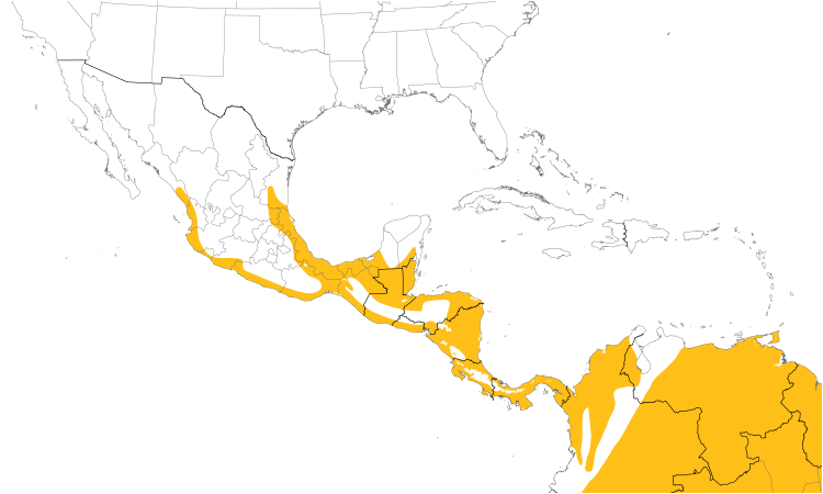 Range Map (Central): Amazon Kingfisher