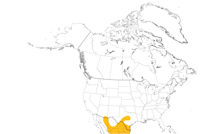 Range Map (North): Green Kingfisher