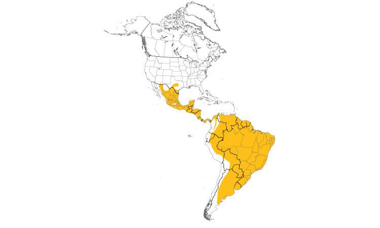 Range Map (Americas): Green Kingfisher