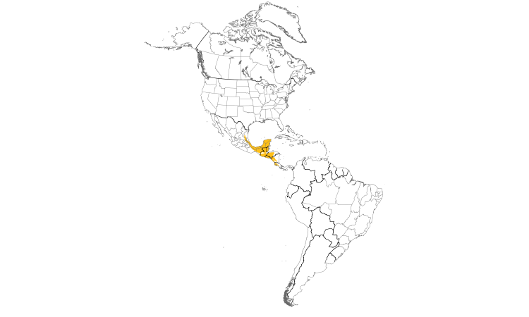 Range Map (Americas): Canivet's Emerald