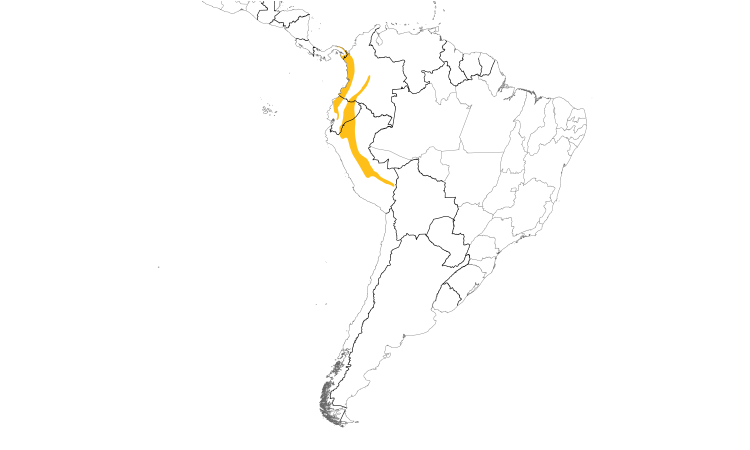 Range Map (South): Green Manakin