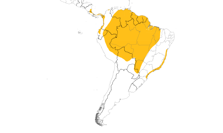 Range Map (South): Green-and-rufous Kingfisher