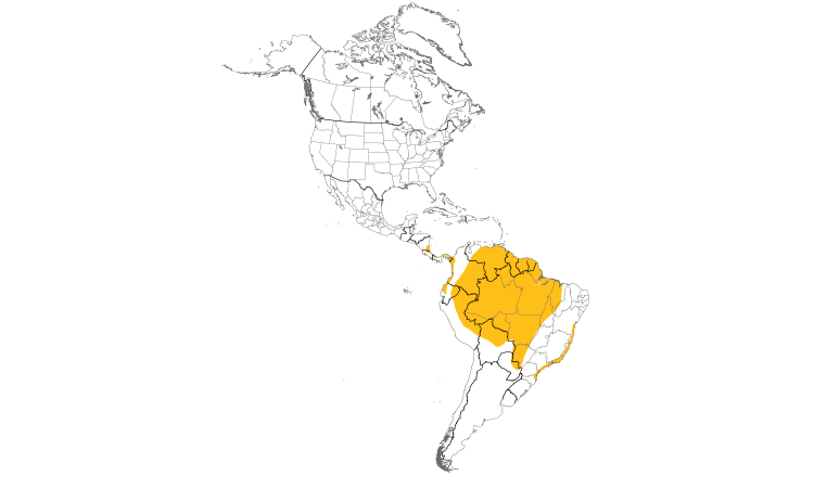 Range Map (Americas): Green-and-rufous Kingfisher