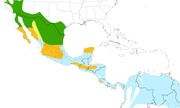 Range Map (Central): Lesser Nighthawk