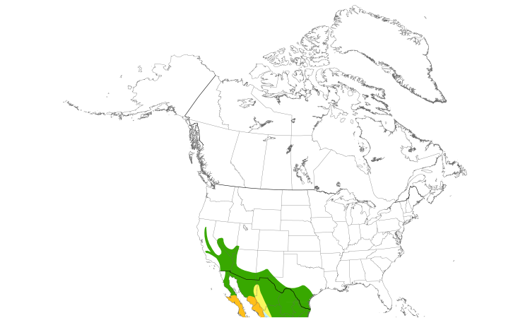 Range Map (North): Lesser Nighthawk