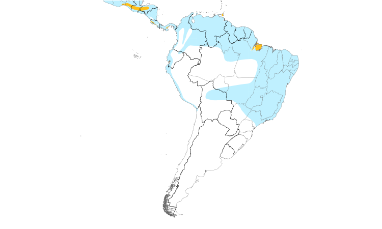 Range Map (South): Lesser Nighthawk