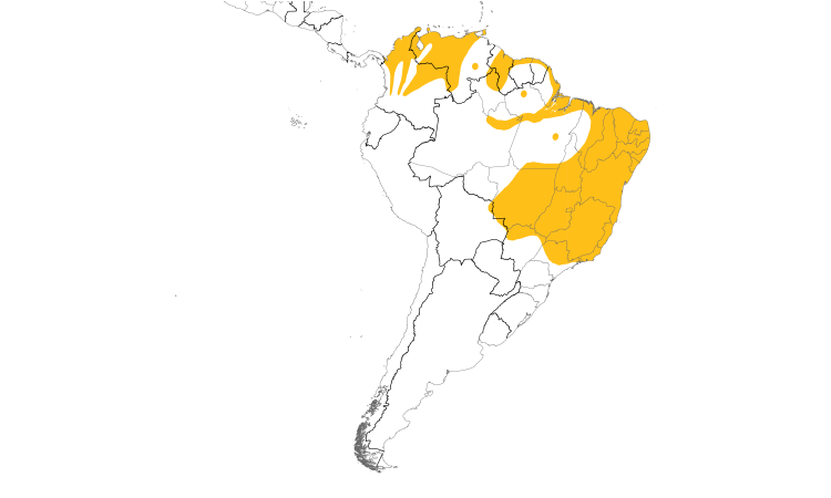 Range Map (South): Ruby-topaz Hummingbird