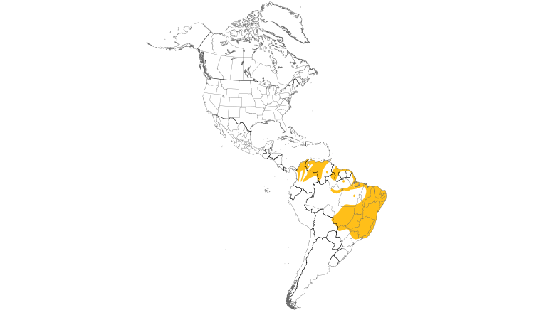 Range Map (Americas): Ruby-topaz Hummingbird
