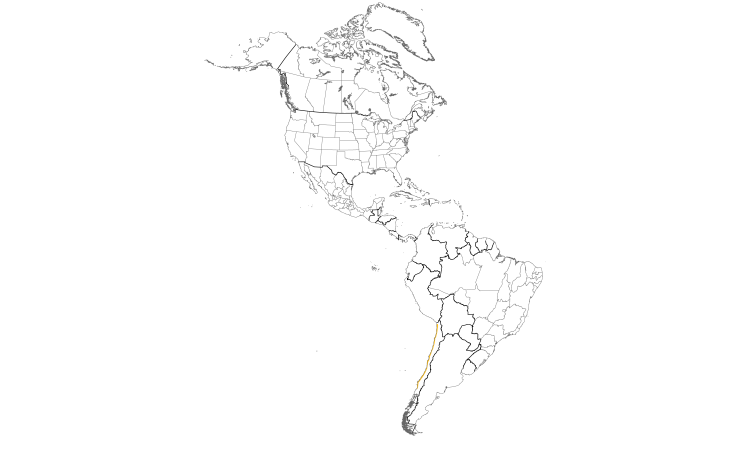 Range Map (Americas): Seaside Cinclodes