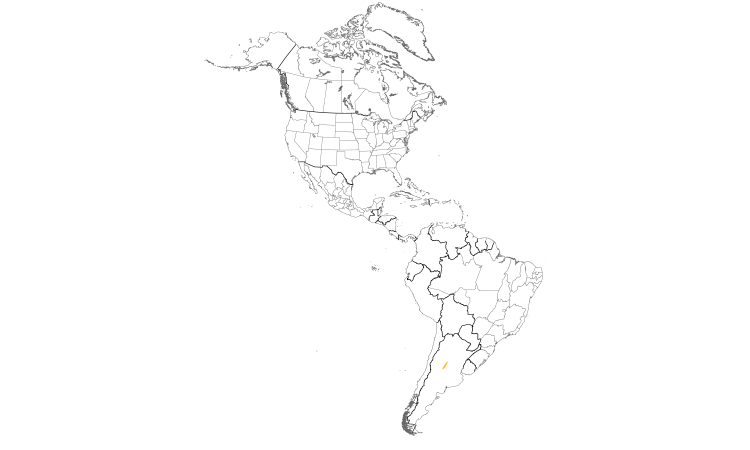 Range Map (Americas): Olrog's Cinclodes