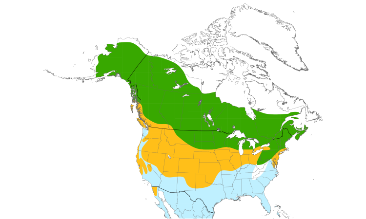 Range Map (North): Northern Harrier
