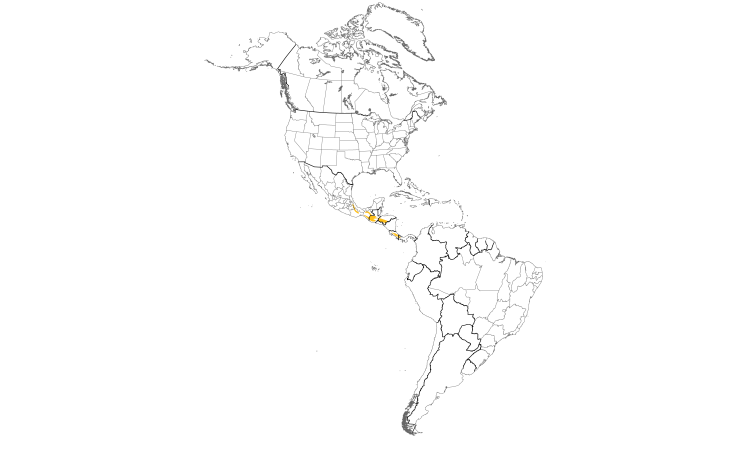Range Map (Americas): Maroon-chested Ground-Dove