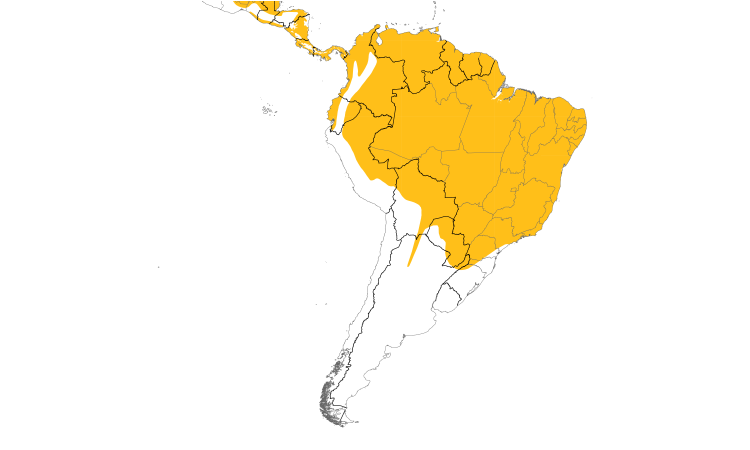 Range Map (South): Blue Ground Dove