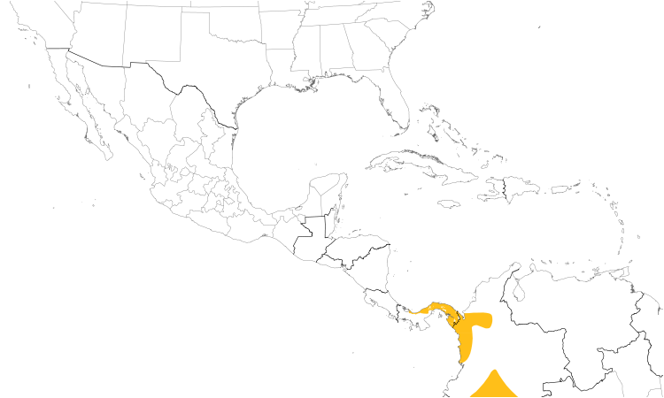 Range Map (Central): Brownish Twistwing