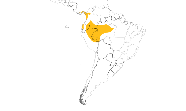 Range Map (South): Brownish Twistwing