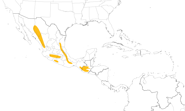 Range Map (Central): Hooded Grosbeak