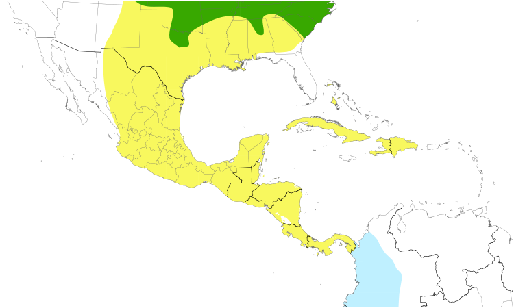 Range Map (Central): Black-billed Cuckoo
