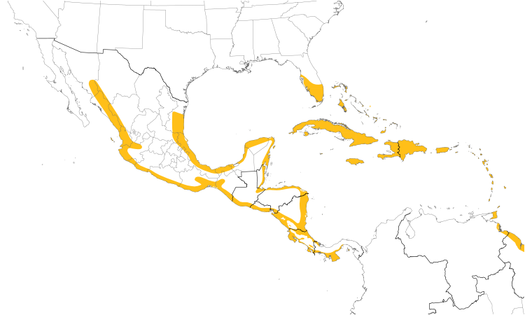 Range Map (Central): Mangrove Cuckoo