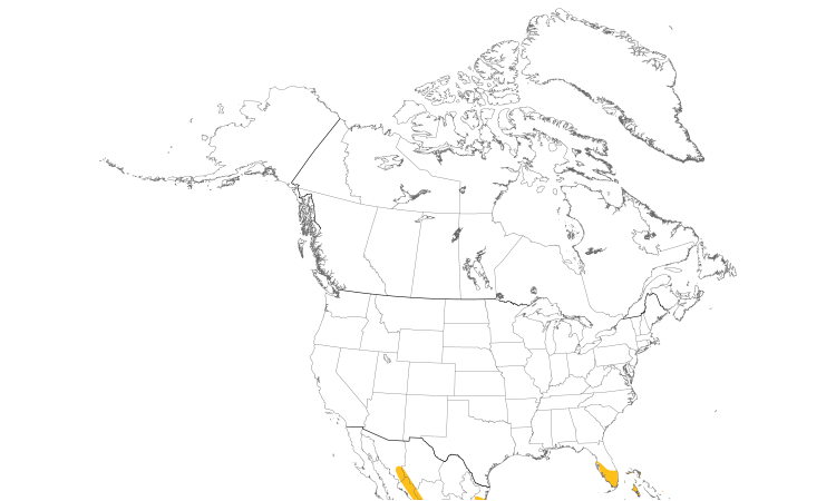 Range Map (North): Mangrove Cuckoo