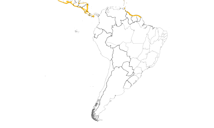 Range Map (South): Mangrove Cuckoo
