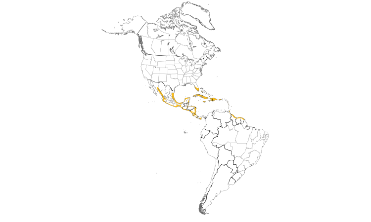 Range Map (Americas): Mangrove Cuckoo