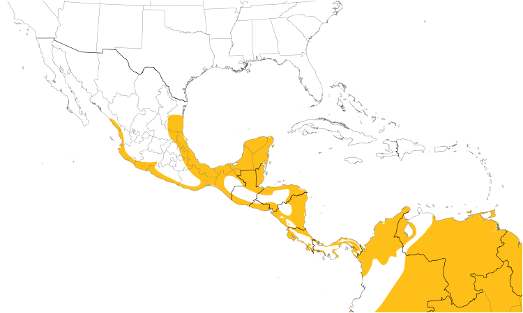 Range Map (Central): Boat-billed Heron