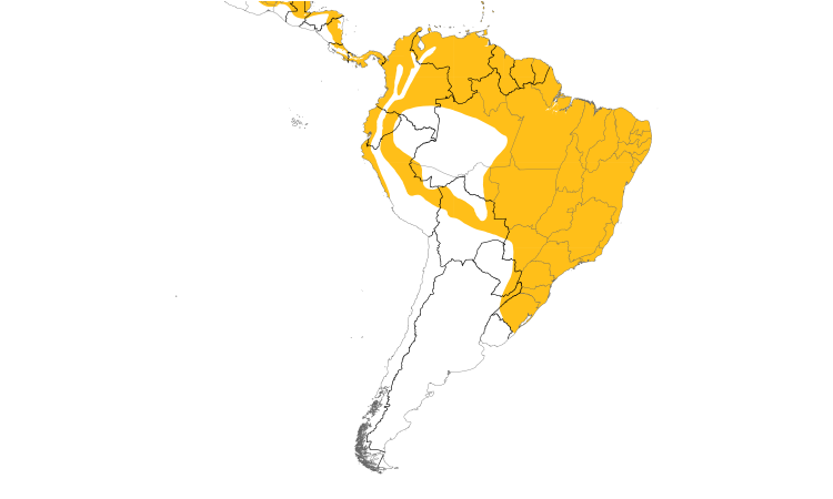 Range Map (South): Bananaquit