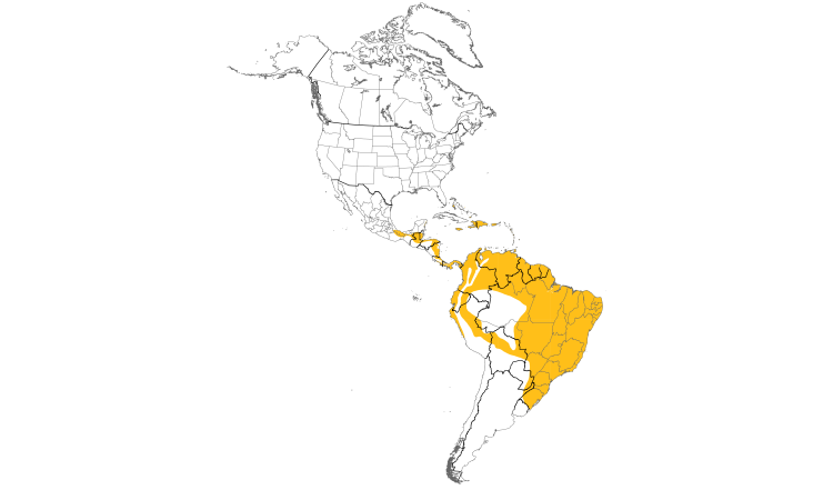 Range Map (Americas): Bananaquit