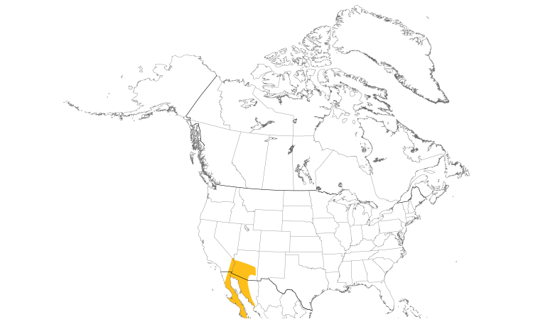 Range Map (North): Gilded Flicker